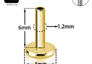 Bases de labret Titanio
